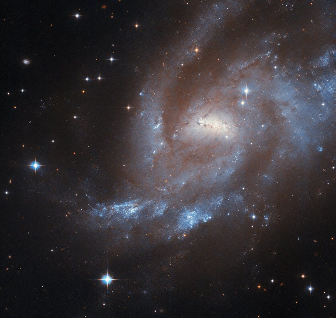 Resting near the centre of the northerly constellation Cepheus, high in the northern sky, is the barred spiral galaxy UGC 11861